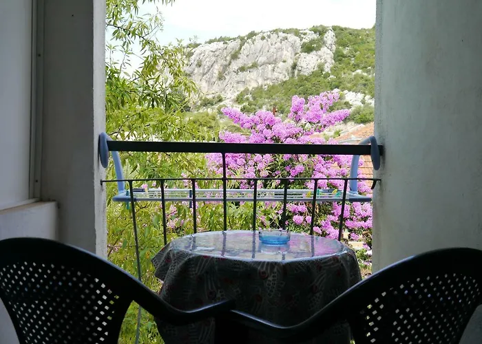 Apartment Dragovic